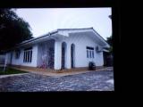 House  for Rent