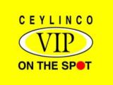 Marketing Executive