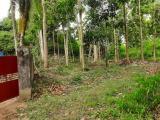 LAND  FOR  SALE