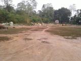 බද්දේගම ගිනිමැල්ලගහ කිරිවැල්ලගහ 243ක ඉඩමක් විකිනීමට