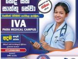 NURSING, CAREGIVER & MLT ASSISTANT COURSES