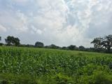 Land With House For Sale