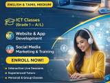 Edexcel ICT/Cambridge computer science Software Engineering Individual Online Classes
