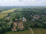 Valuable Residential Land Blocks Available for Sale in Weliweriya