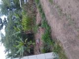 නුවර පාරට, ආසන්නයෙන්, කඩවත වෑබඩ පිහිටි ඉඩම