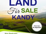 Land For Sale