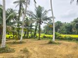 298 Perches Land for Sale – Veyangoda.