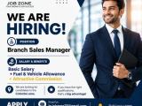 Marketing Executive
