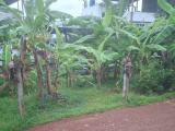 මිරිහාන, ඇඹුල්දෙනිය. පර්චස් 10ක ඉඩම.